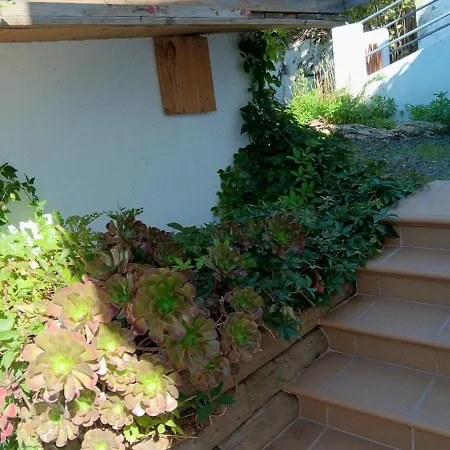 Forest Escape Near Barcelona Apartment *